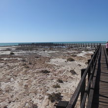 木製の見学路が整備されていました