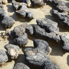 興味深い岩です