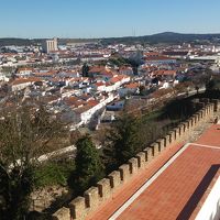 お部屋からの眺め