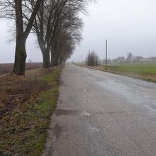 こんな道をひたすら歩いていきます