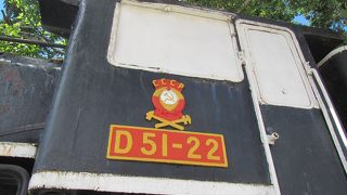 屋外に変わった塗装のD51の展示