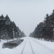 防風・防雪林に囲まれた北の旅情掻き立てる駅