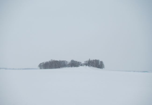 雪原のただ中の小高い丘