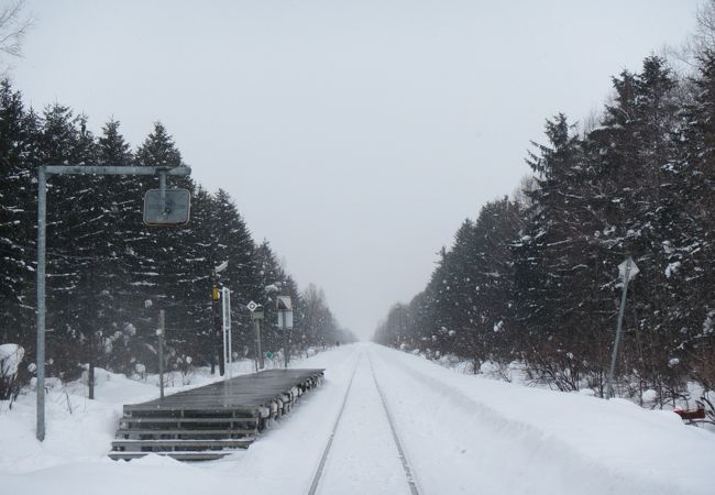 防風・防雪林に囲まれた北の旅情掻き立てる駅