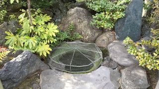 泉岳寺境内あります