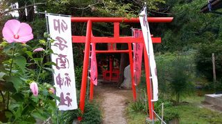 遠野の卯子酉様（うねどり）