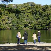 水鳥の楽園ともなっていて