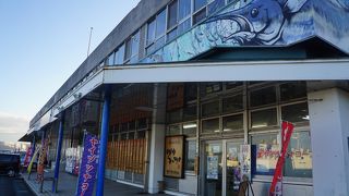 日本一のカツオとマグロの歴史