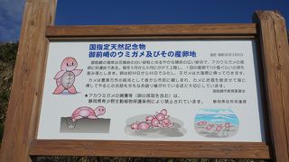 丁寧な説明がありました