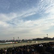 歴史ある競馬場