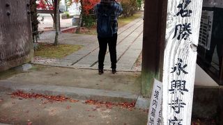 入口付近の紅葉は見事