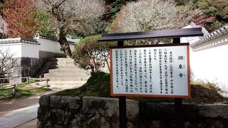 紅葉谷公園の傍にあるが、メインは梅