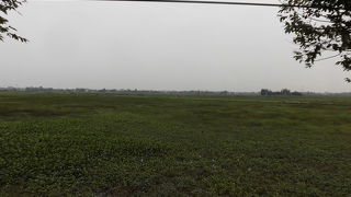 市街をでると田園風景