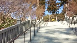 平日は空いていて快適