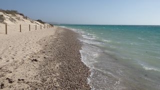 ターコイズ ベイ