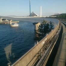 シーサイドラインで平潟湾の上を