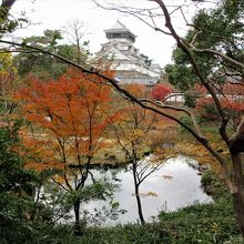 紅葉の向うに小倉城が見えます。
