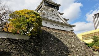 お城の回りのモミジの赤や銀杏の黄色がきれいでした。