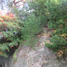 紅葉は綺麗でした