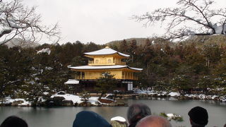 とにかく綺麗、美しい。