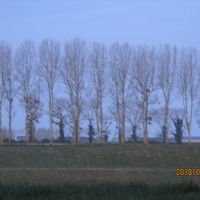 窓を開けて正面