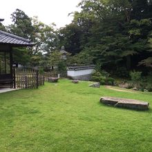 庭の緑に癒される