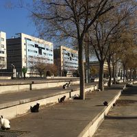 駅からホテルまでの大通り