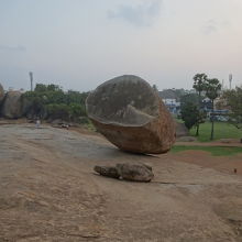 朝は写真撮り放題