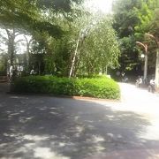 きれいな公園ではないです