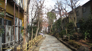 緩やかなカーブがとても良いです。