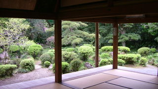 建物とのコラボで少し雰囲気があるのかなという印象です