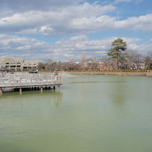 長岡天満宮八条ケ池