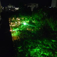 客室内から庭園のライトアップが見えました