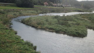 素朴な風景です