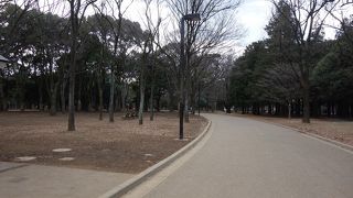 代々木公園内のランニングコース