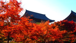 特別拝観で内部を見学できました