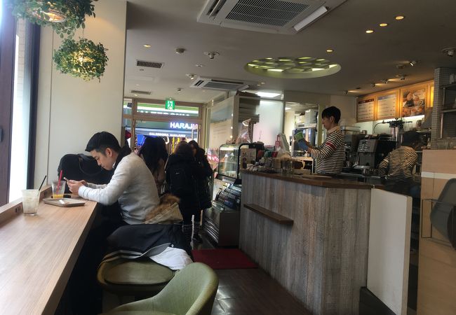 ビヤードパパと一緒になっています