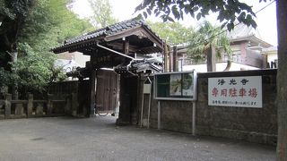 都会とは思えない雰囲気