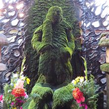 コケに満ちた不動様