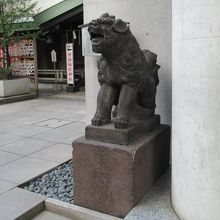 参道から見た右手の狛犬