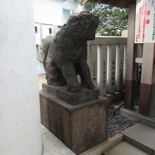 参道から見た左手の狛犬