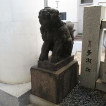 社殿前から見た左手の狛犬