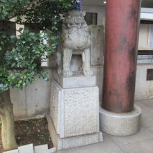 鳥居前左手の狛犬
