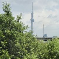 ホテルの低い階からも東京スカイツリーが良く見えます。