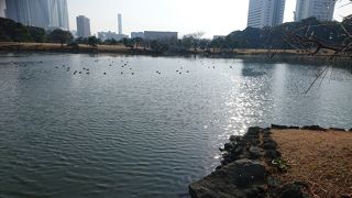 海の香りがする庭園