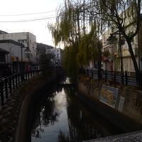 東横イン裏の水路と柳並木の風景です