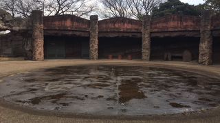 小学校の教科書に載っていた