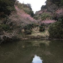 抱湖園