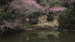 抱湖園