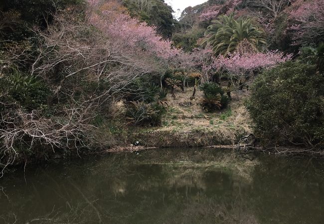 抱湖園